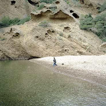 Guichard Thierry © Olivier Roller